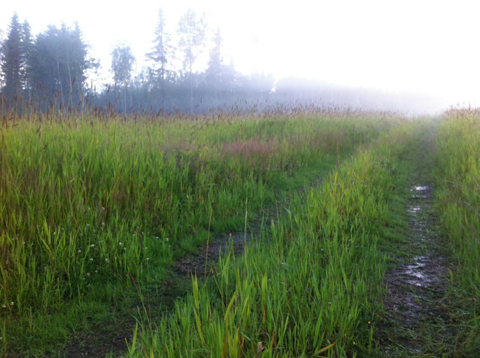 Others 5, Olo Tila, Southern Ostrobothnia