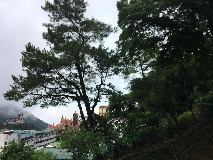 Scenery 5