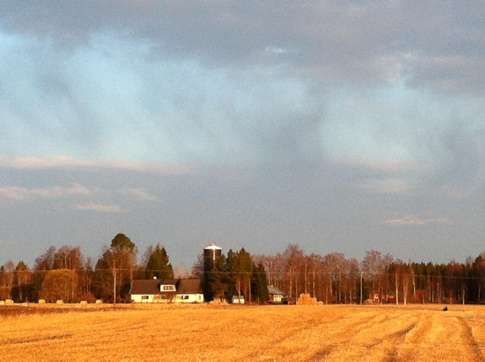 Others 1, Olo Tila, Southern Ostrobothnia