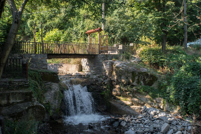 Others 5, комплекс ВОДОПАДА, Rodopi