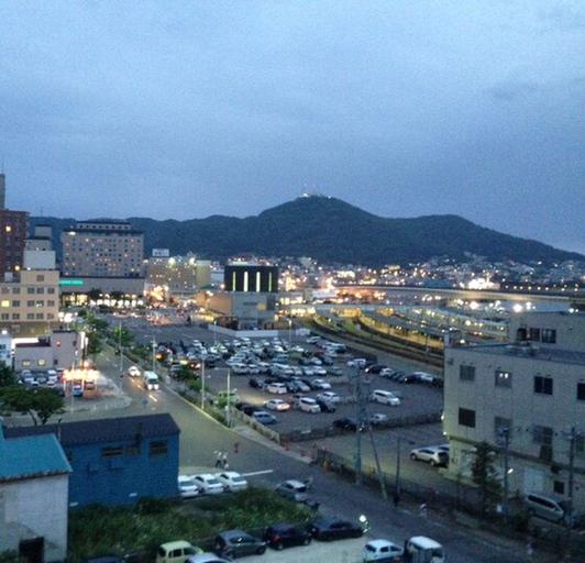 Others 4, Hotel all in well, Hakodate
