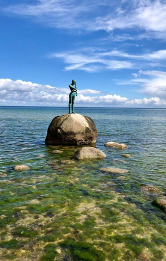 View from property 5, Heart Shell in the Villa Li, Vorpommern-Rügen