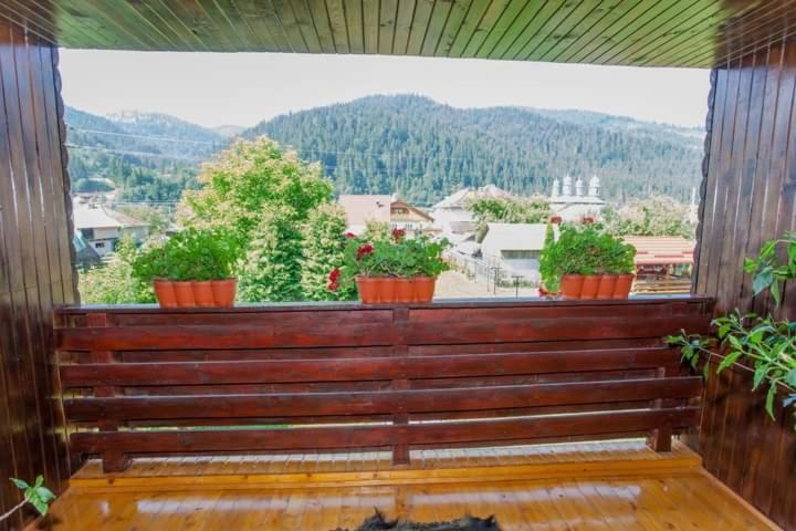 Others 2, Casa Prundari Nicu si Mirela, Poiana Teiului
