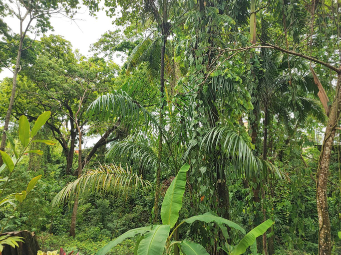 Others 5, Casa Hadassa La Canada, Palenque