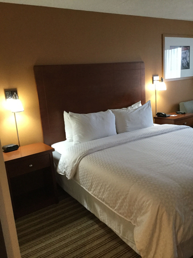 Bedroom 4, Radisson Hotel Detroit Metro Airport, Wayne