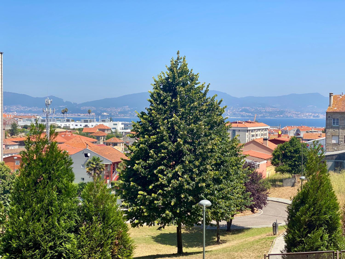 View, SOL 22, Pontevedra