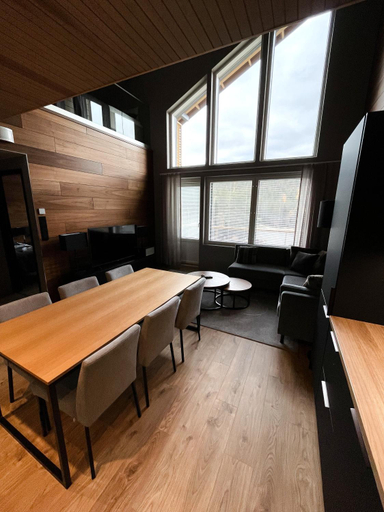 Others 4, Levin Kunkku B penthouse, Lapland