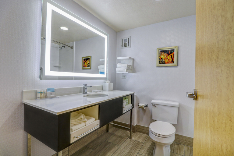 Bathroom 4, Hampton Inn Tropicana, Clark