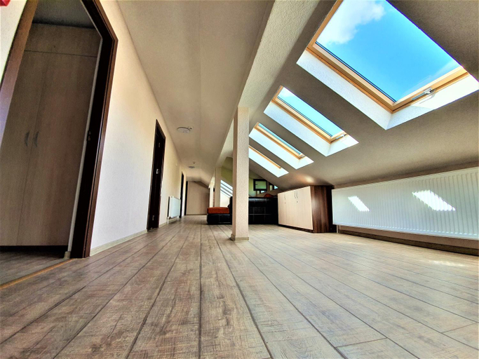 Public Area 1, Casa Muscelelor, Pietrosani