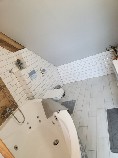 Bathroom 3, Willa Mnich, Tatra