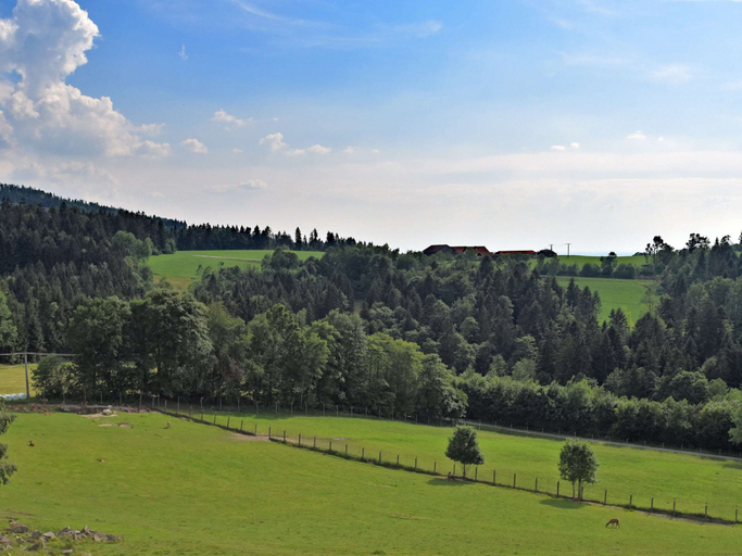 Others 5, Alpine View Wellness Escape, Freyung-Grafenau