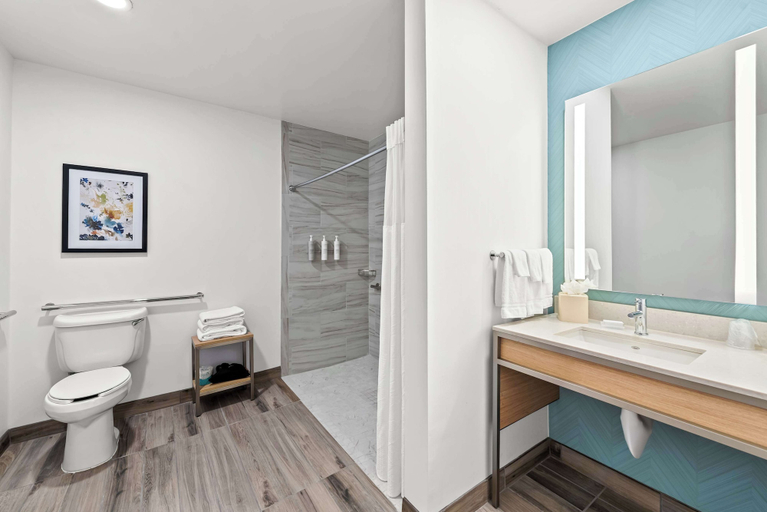 Bathroom 4, Hilton Garden Inn Seattle North/Everett, Snohomish