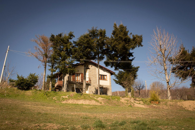 B&B Vista Casentino, Arezzo