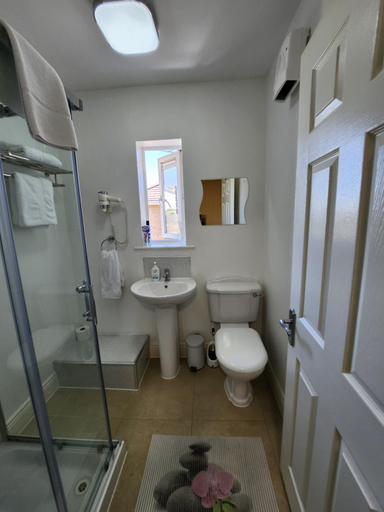 Bathroom 5, Park View room with free minibar tea&coffee, Dublin