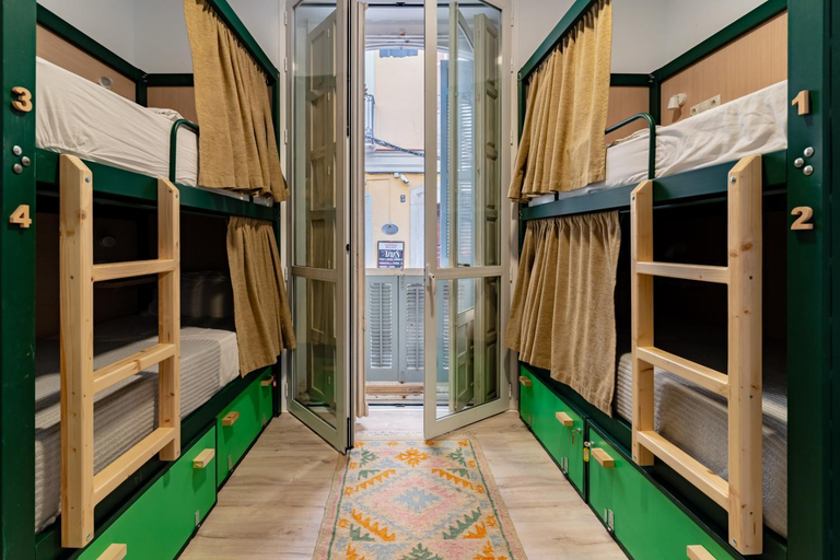 Others 5, The Urban Jungle Hostel, Málaga