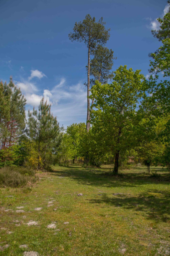 Others 4, LE GAHOUN - La Cosy, Landes