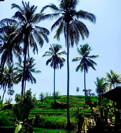 Scenery 3
