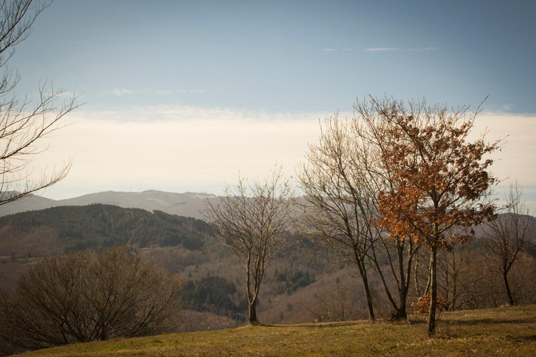 Others 4, B&B Vista Casentino, Arezzo