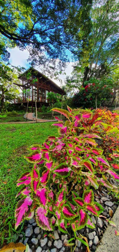 Others 2, VillaHermosa B&B, Chame
