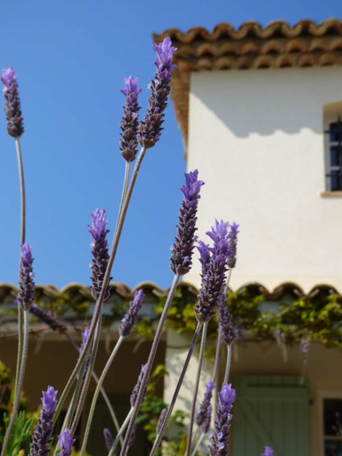 Others 3, Azurea, Alpes-Maritimes