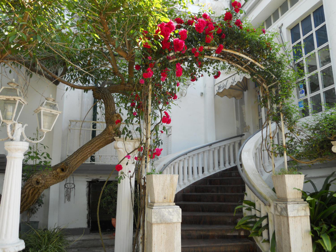 Others 4, Albergo Santa Teresa, Napoli