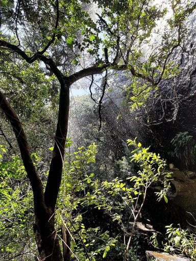 Surrounding environment 2, Highbourne Cottages, Uthukela