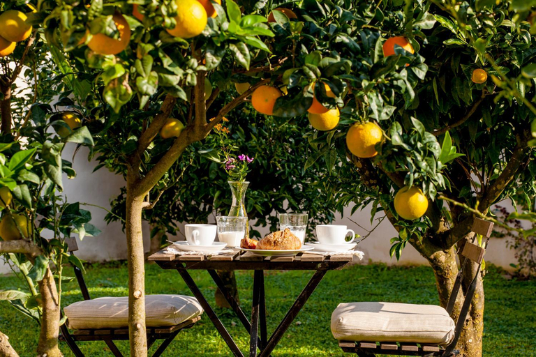 Others 2, Casale Caterina Agriresort, Livorno