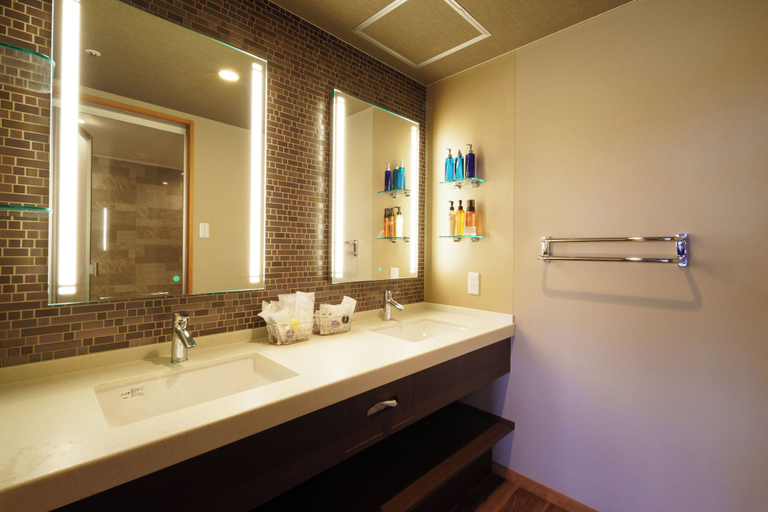 Bathroom 4, Kintarouonsen, Uozu