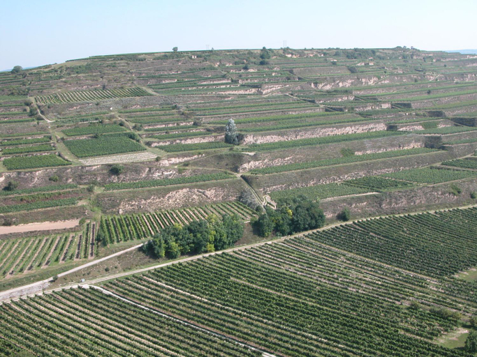 Others 3, Weingut und Gastehaus Berger, Krems an der Donau Land