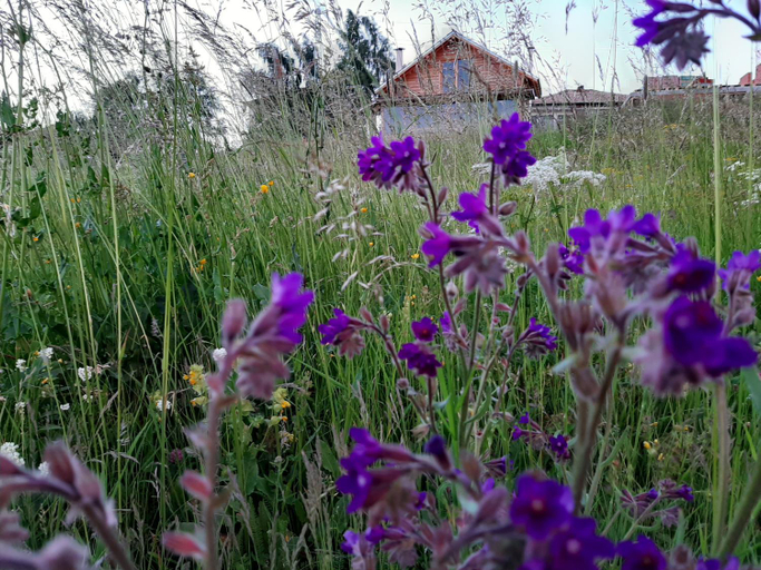 Others 2, Вила Орцево Vila Ortsevo, Yakoruda