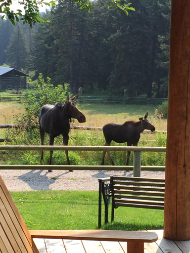 Others 2, Trail Creek Ranch, Teton