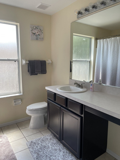 Bathroom 3, 5 Bedroom Pool Home, Polk