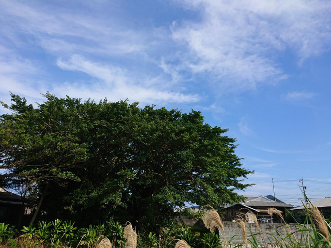 match guest house（まっちゲストハウス）, Tatsugō