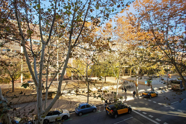Others 5, Barna House Hotel, Barcelona