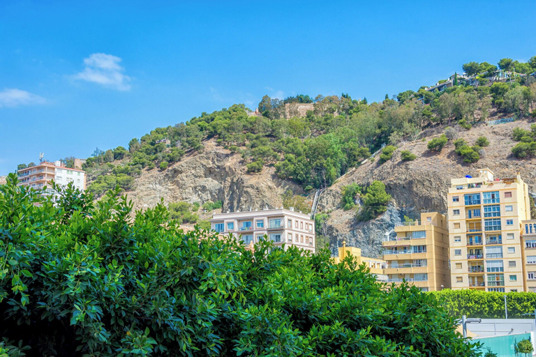 Exterior & Views, Solaga - Cervantes, Málaga