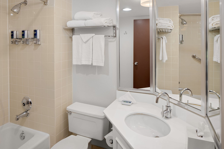 Bedroom 5, Radisson Hotel Detroit Metro Airport, Wayne