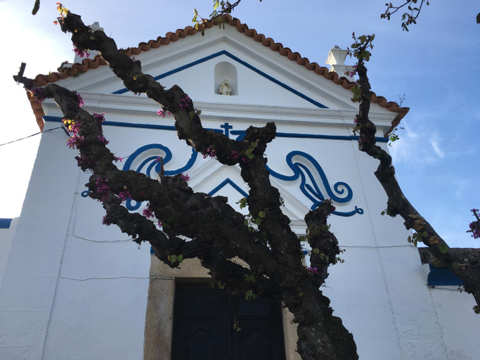 Almojanda 3 Olive Tree, Portalegre
