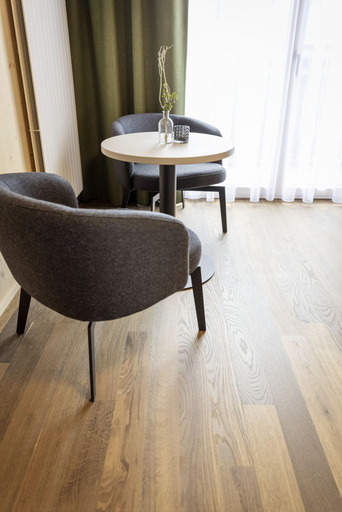 Public Area 2, AVES Hotel Savognin, Albula