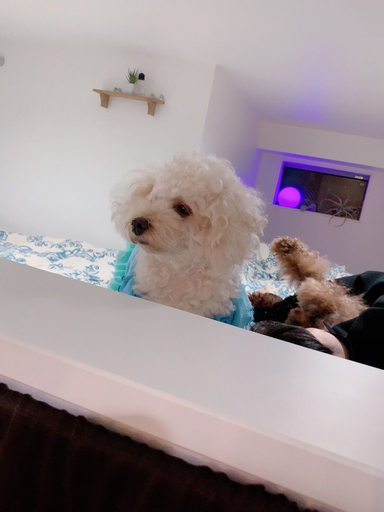Bedroom 3, Polaris 102, Nagoya