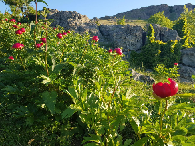 Others 4, PENSIUNEA AGROTURISTICA ANGHELIKI, Izvoarele
