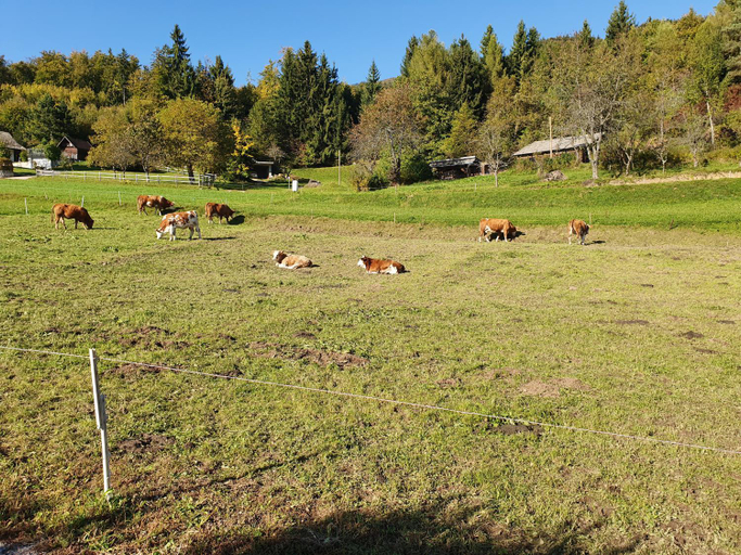 Others 4, Veronica's place in the mountains, Cerklje na Gorenjskem