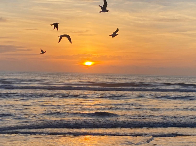 Others 4, I Need A Vacay Now! Remodeled Studio, Volusia