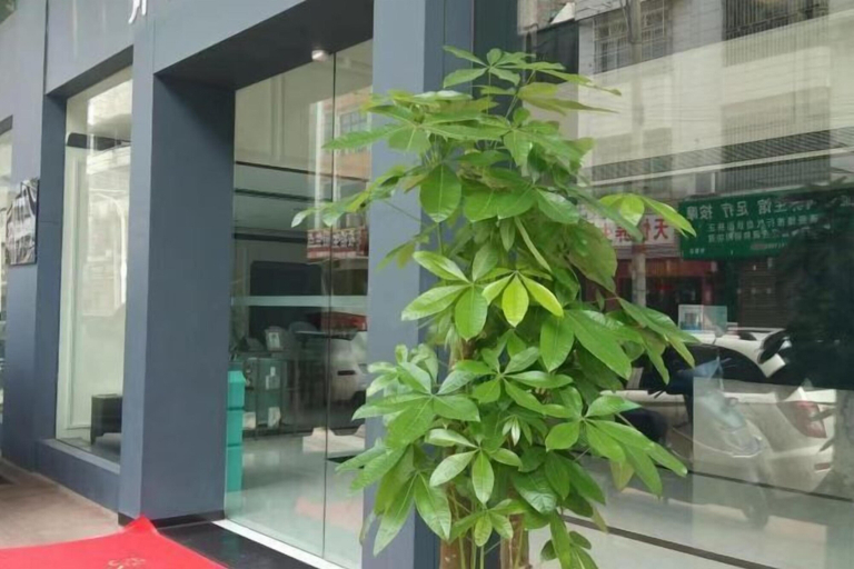 Exterior & Views 2, Xana Lite Hotel (Zhaoqing Huaiji), Zhaoqing