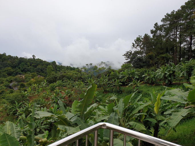 3, DOI TUNG Anisa Homestay, Mae Fa Luang