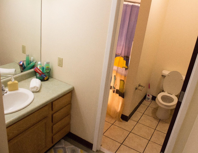 Bathroom 5, 2 Bedroom Downtown Apt Friends Families Ideal, Allegheny