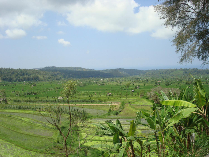 Others 5, ArjunaBungalows, Karangasem