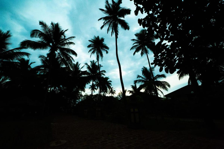 Others 3, Exotica By The Sea, Raigarh