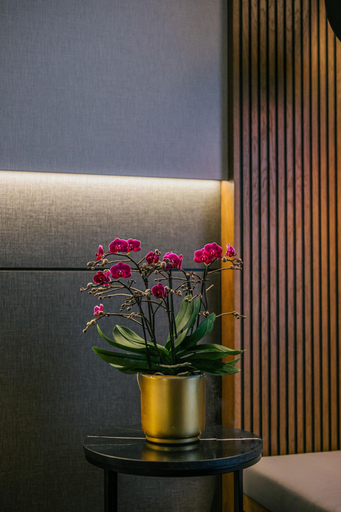 Public Area 4, Radisson Collection Hotel, Roma Antica, Roma