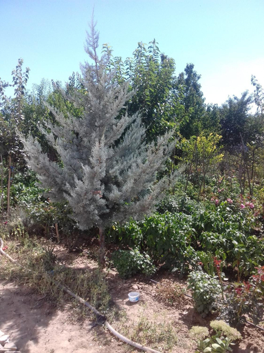 Others 3, PENSIUNEA AGROTURISTICA ANGHELIKI, Izvoarele