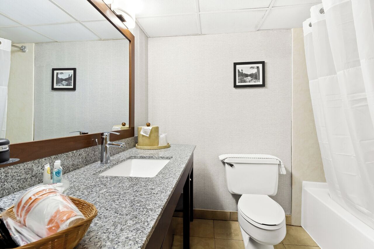 Bathroom 4, Comfort Inn Grantsville-Deep Creek Lake, Garrett